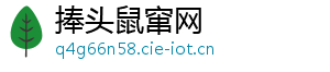 捧头鼠窜网